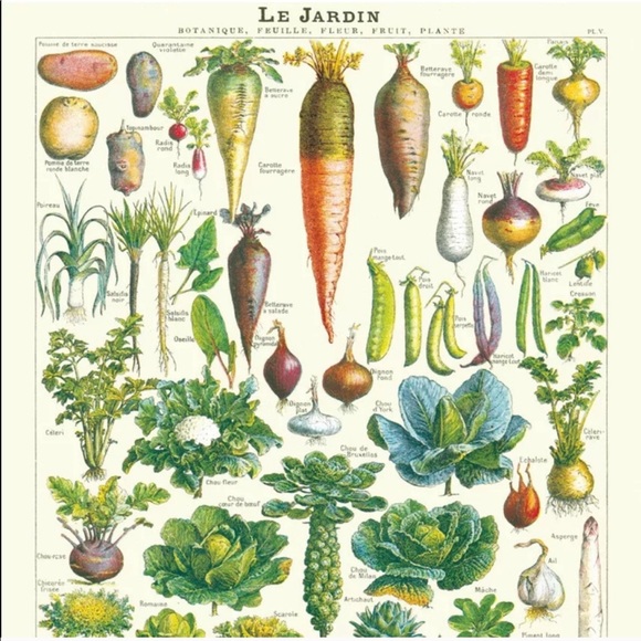 👨‍🌾 Cavallini & Co. Le Jardin Vintage Image Garden Chart, 20" x 28" - NWT - Picture 2 of 5